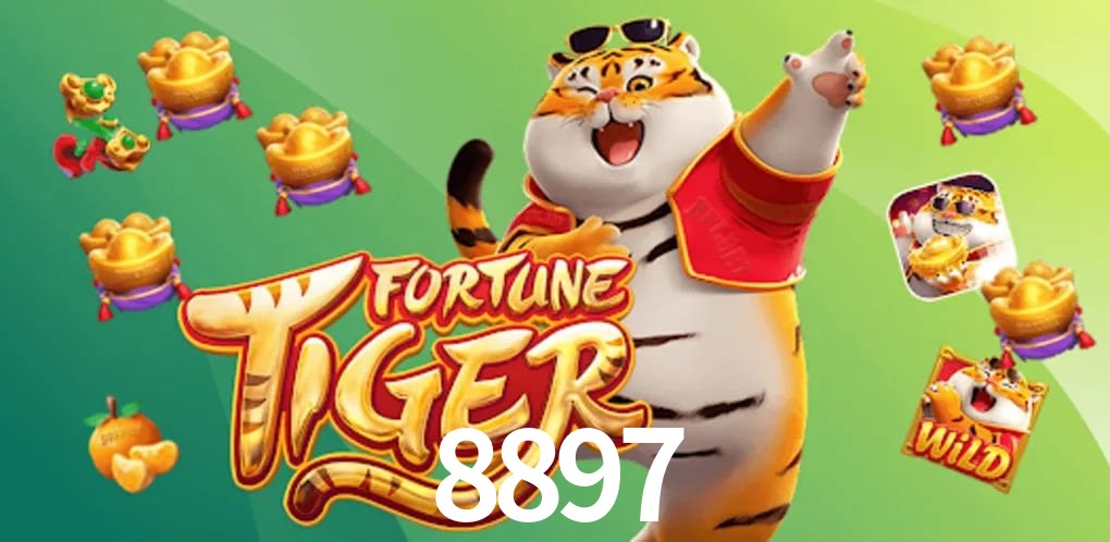 Experiência VIP 8897